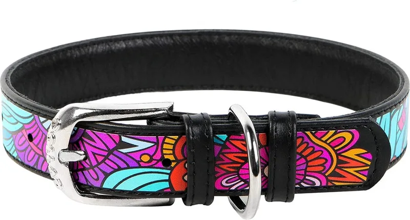 Summer Halsband / Hondenhalsband - Echt Leder - Zwart - Full Colour Print - Breedte: 15 mm - Nekomtrek: 27 - 36 cm (GELIEVE ALVORENS BESTELLEN OPMETEN) de Waudog en Zwart met multi-colour print – photo produit
