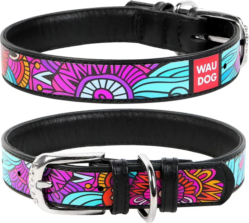 Summer Halsband / Hondenhalsband - Echt Leder - Zwart - Full Colour Print - Breedte: 35 mm - Nekomtrek: 46 - 60 cm (GELIEVE ALVORENS BESTELLEN OPMETEN) de Waudog en Zwart met Summer print – photo produit