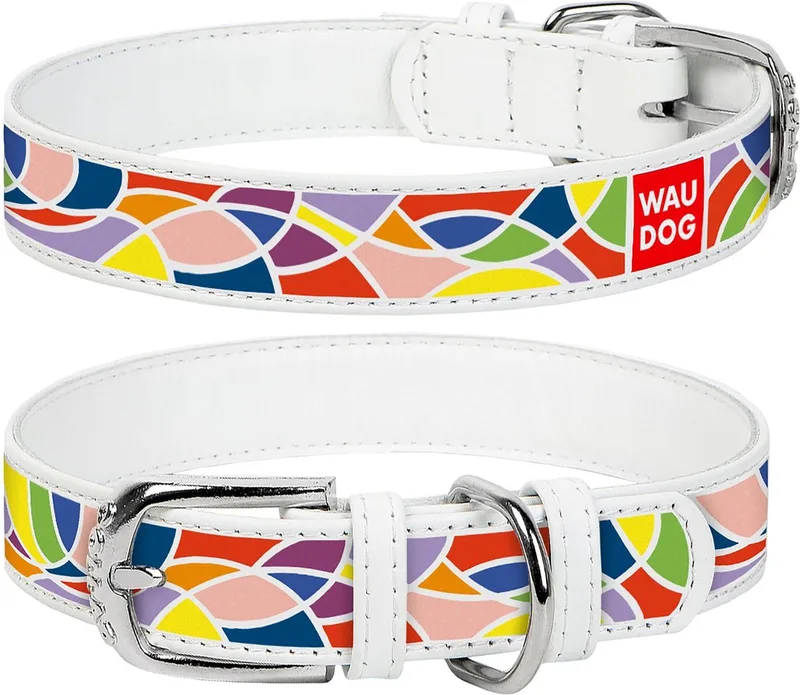 Vitrage Halsband / Hondenhalsband - Echt Leder - Wit - Full Colour Print - Breedte: 12 mm - Nekomtrek: 19 - 25 cm (GELIEVE ALVORENS BESTELLEN OPMETEN) de Waudog en Wit met multi-colour print – photo produit