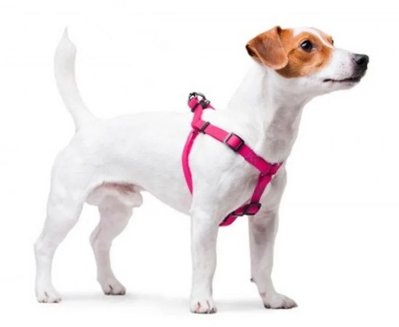 Waterproof Harnas / Hondentuigje - Collartex - Breedte 15 mm - Borstomtrek 40 - 55 cm (GELIEVE ALVORENS BESTELLEN OPMETEN) by Waudog in Pink – product photo