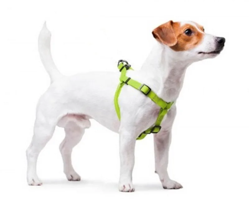 Waterproof Harnas / Hondentuigje - Collartex - Breedte 15 mm - Borstomtrek 40 - 55 cm (GELIEVE ALVORENS BESTELLEN OPMETEN) by Waudog in Green – product photo