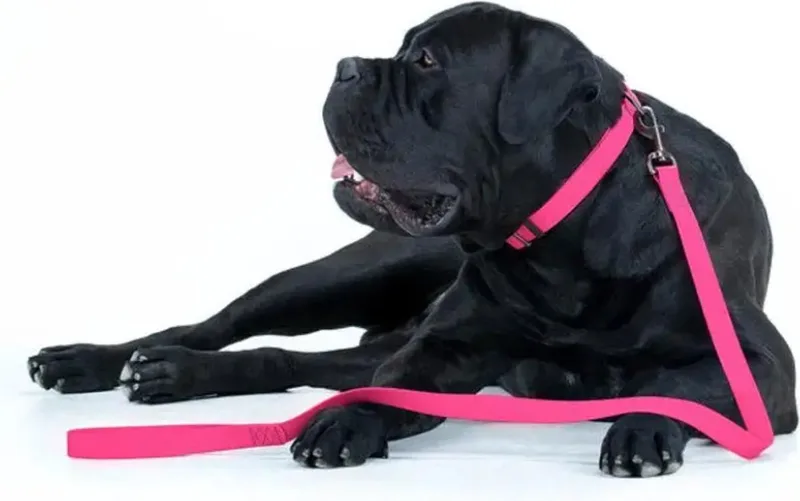 Waterproof Hondenlijn / Hondenriem - Collartex - Breedte 25 mm - Lengte 122 cm - Geschikt voor grote honden by Waudog in Pink – product photo