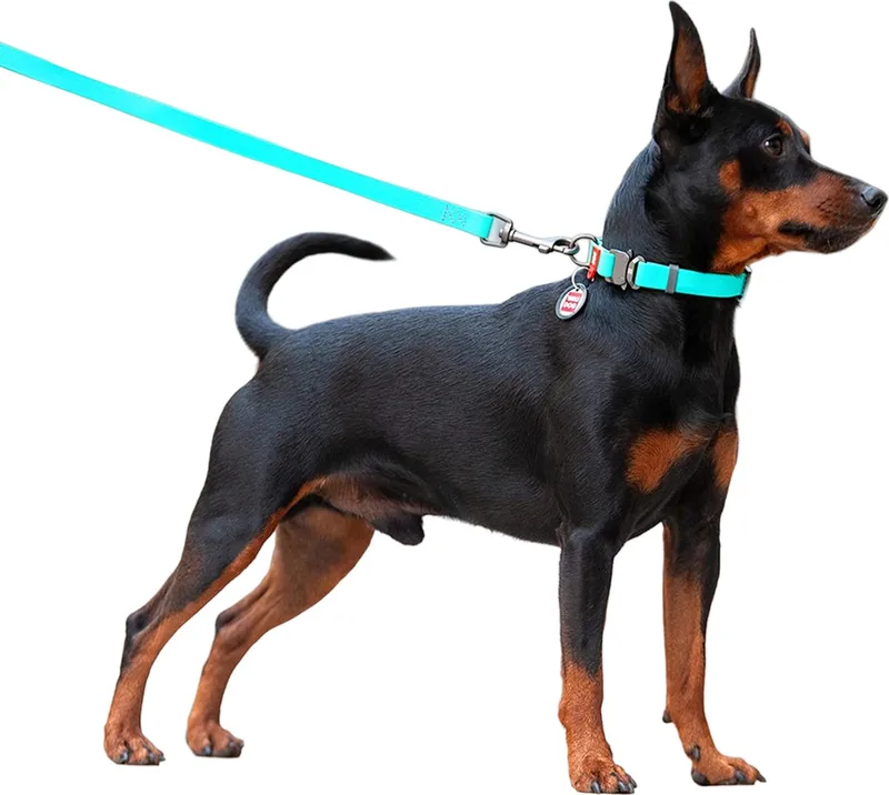 Waterproof Hondenlijn / Hondenriem - Collartex - Mint - Glow In The Dark - Breedte 20 mm - Lengte 122 cm von Waudog in Mint (Glow In The Dark) – Produktfoto