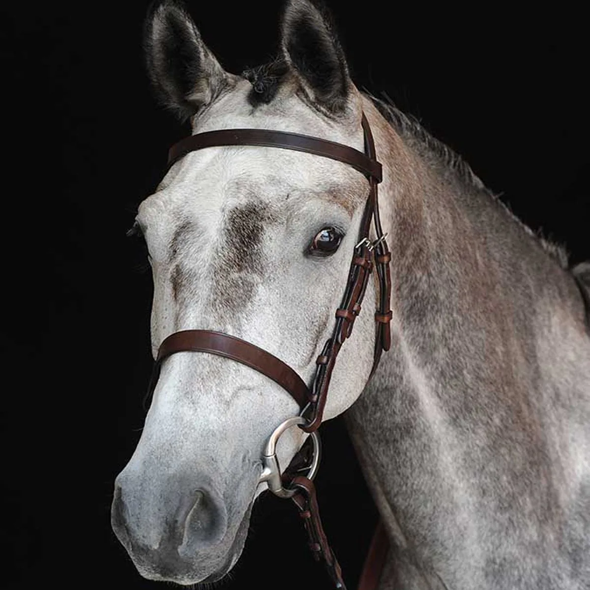 Cavesson jachthoofdstellen Weatherbeeta Collegiate IV de WeatherBeeta en Marron – photo produit