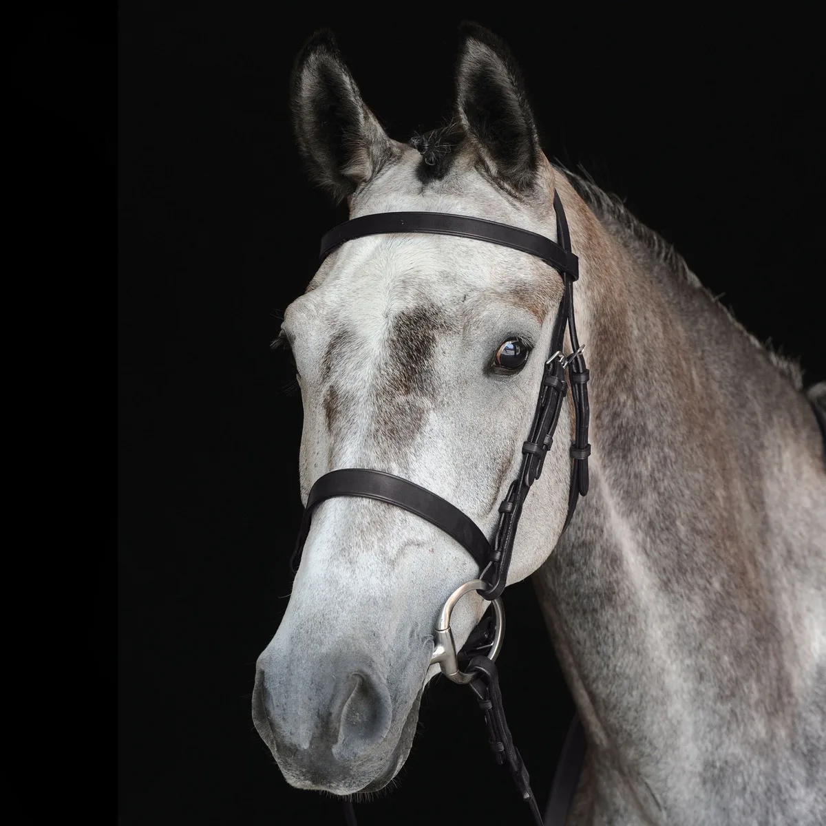 Cavesson jachthoofdstellen Weatherbeeta Collegiate IV van WeatherBeeta in Zwart – productfoto