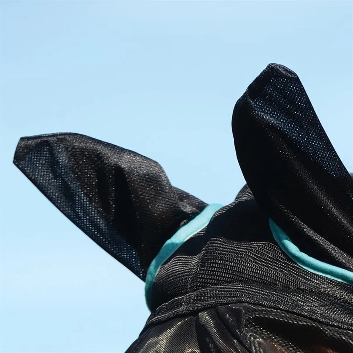 Delux Fine Mesh Mask - Met Oren - Zwart /Turquoise - Maat Pony de WeatherBeeta – photo produit