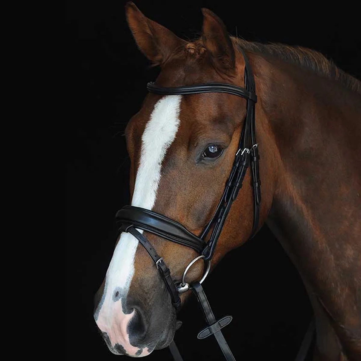 Gewatteerde hoofdstellen Weatherbeeta Collegiate Mono Crown de WeatherBeeta en Noir – photo produit