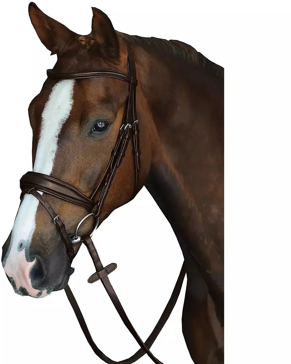 Gewatteerde hoofdstellen Weatherbeeta Collegiate Mono Crown de WeatherBeeta en Marron – photo produit