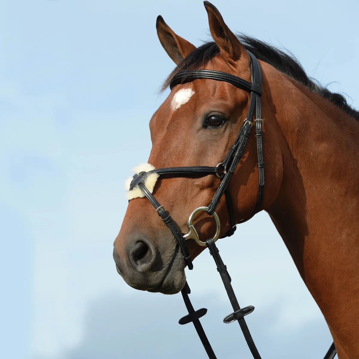 Hoofdstellen met verhoogde vulling in de vorm van een 8 Weatherbeeta Collegiate Syntovia+ de WeatherBeeta en Noir – photo produit