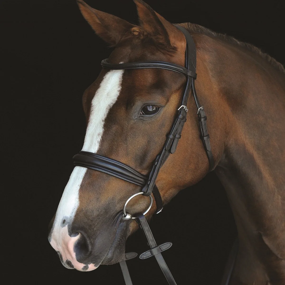 Hoofdstellen Weatherbeeta Collegiate Mono Crown fra WeatherBeeta i Brun – produktbillede
