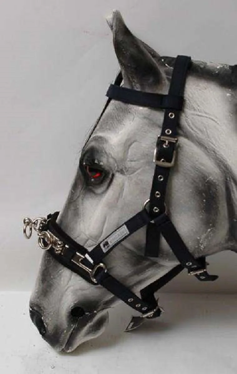 Kincade Coordinate - Kaptoom - Cob de WeatherBeeta en Noir – photo produit