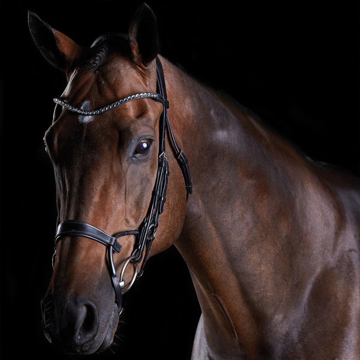 Kristallen hoofdstellen Weatherbeeta Collegiate Comfitec de WeatherBeeta en Noir – photo produit