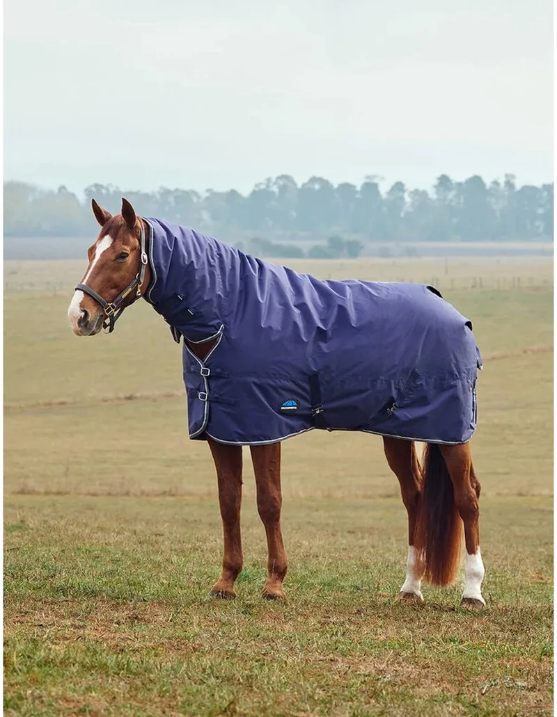 Outdoor paardendeken Weatherbeeta Comfitec Tyro 50g de WeatherBeeta en Marineblauw, Kool – photo produit