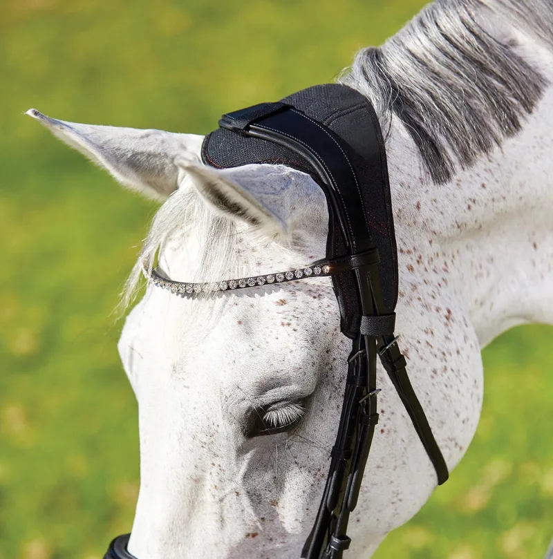 RelaxPets de WeatherBeeta en Noir – photo produit