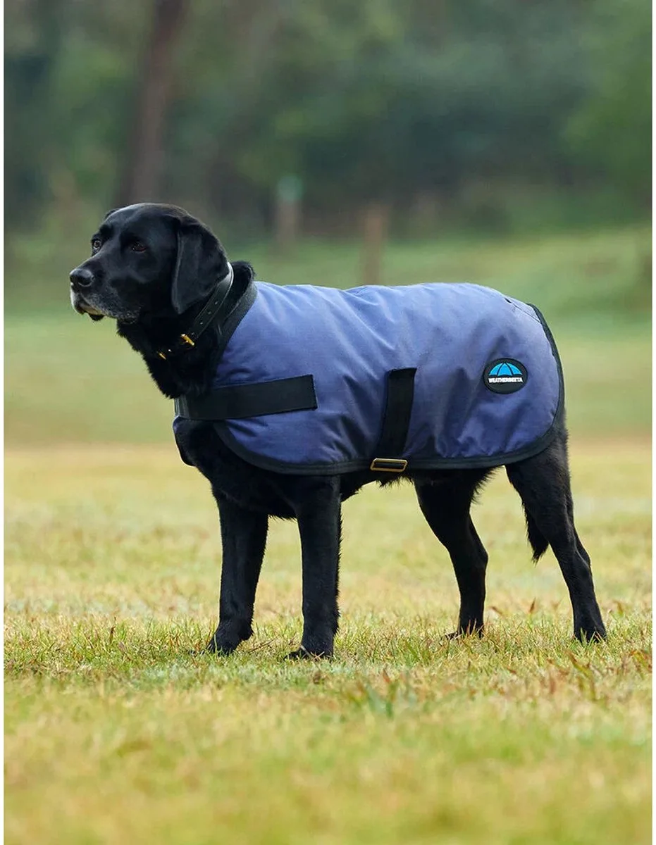 Waterdichte hondenjas Weatherbeeta Comfitec Classic fra WeatherBeeta i Marine – produktbillede