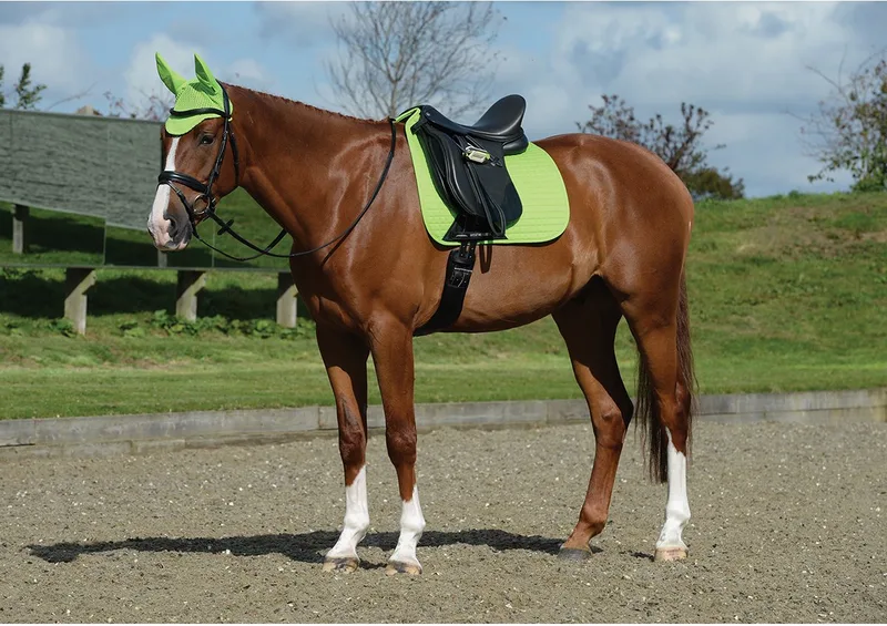 Zadeldek Weatherbeeta Prime Dressage de WeatherBeeta en Vert clair – photo produit