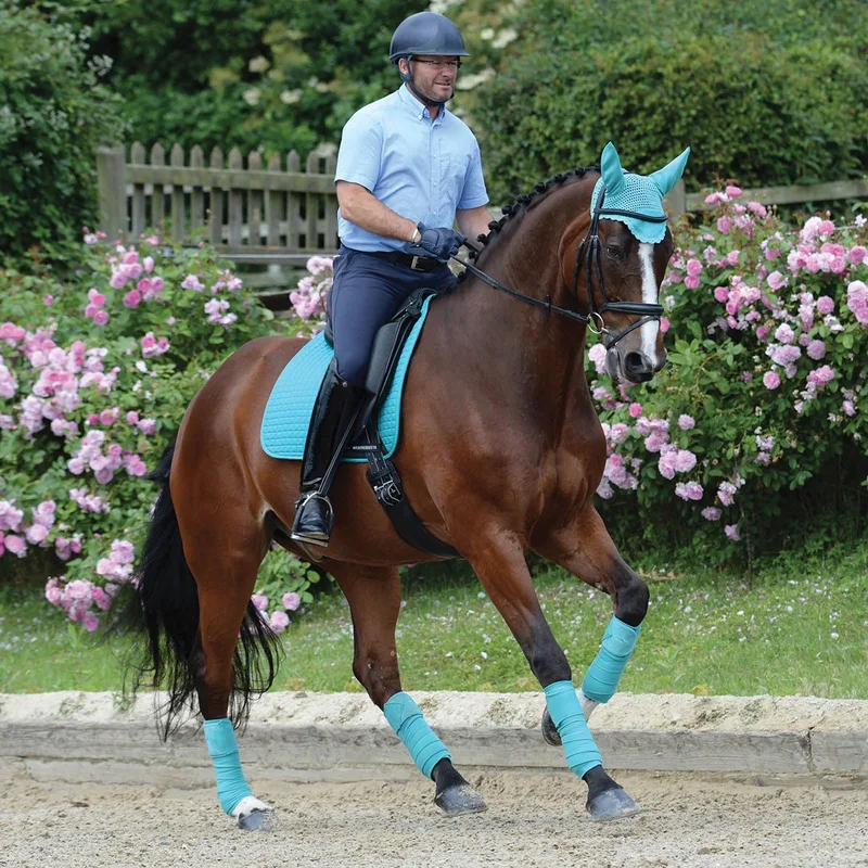 Zadeldek Weatherbeeta Prime Dressage by WeatherBeeta in Turquoise – product photo