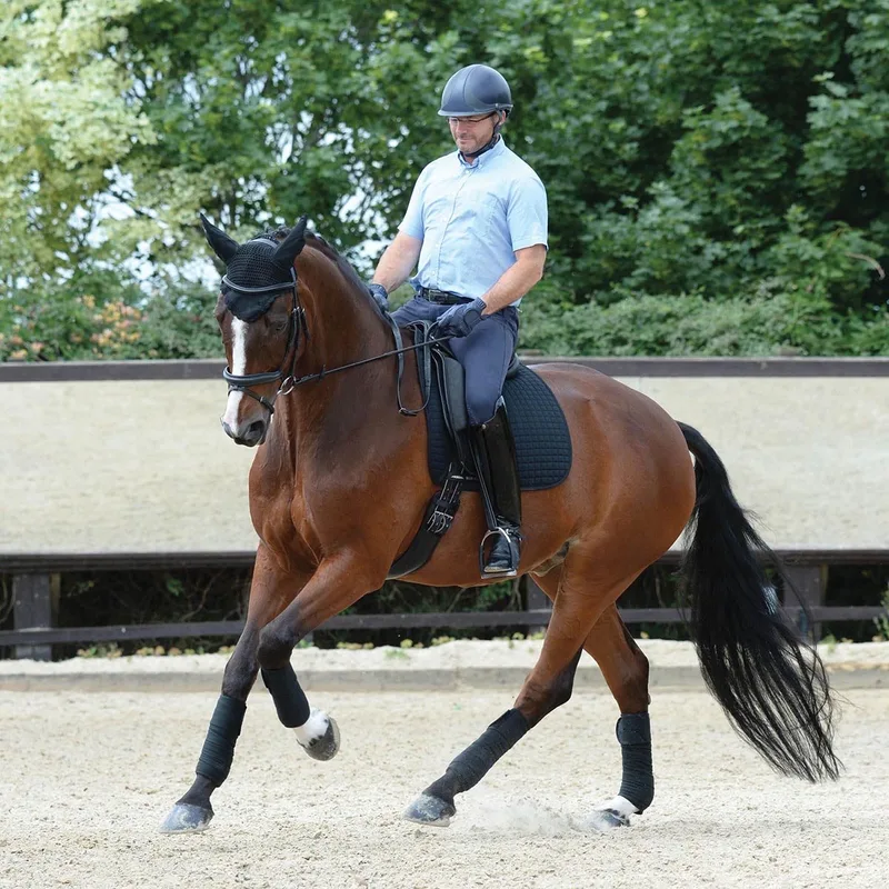 Zadeldek Weatherbeeta Prime Dressage by WeatherBeeta in Black – product photo