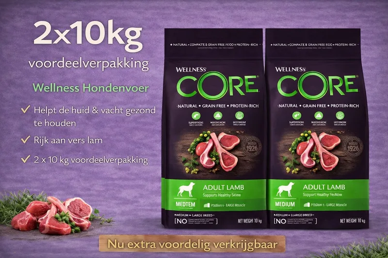 dry Hond adult lam 20KG - Hondenvoer - 2 x 10kg de Wellness Core – photo produit
