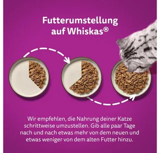 Kattenvoer - Adult 1+ - Vis Selectie in gelei - 40x85g de Whiskas – photo produit 4 sur 4
