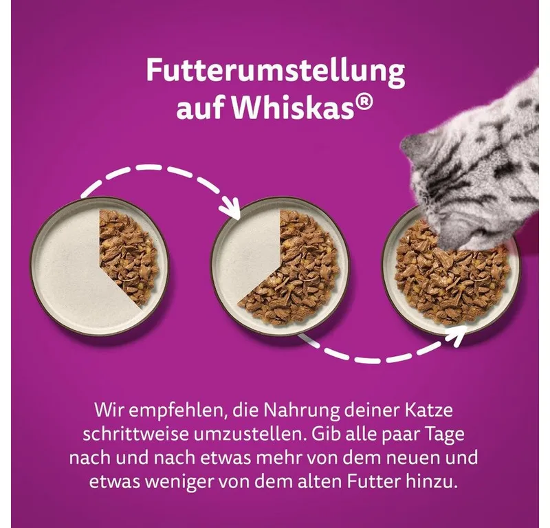 Kattenvoer - Adult 1+ - Vis Selectie in gelei - 40x85g de Whiskas – photo produit 4 sur 4