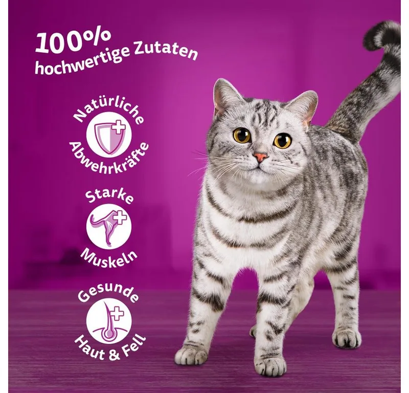 Kattenvoer - Adult 1+ - Vis Selectie in gelei - 40x85g de Whiskas – photo produit 2 sur 4