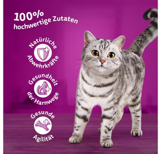 Kattenvoer - Senior 7+ - Vis Selectie in gelei - 40x85g de Whiskas – photo produit 2 sur 4