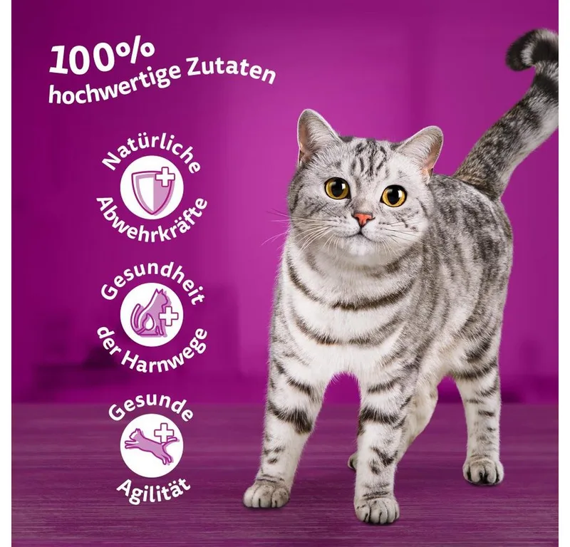 Kattenvoer - Senior 7+ - Vis Selectie in gelei - 40x85g de Whiskas – photo produit 2 sur 4
