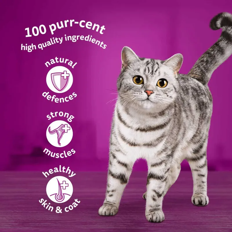 Zakje Gelei Gevogelte Eend Kalkoen Kip Natvoer Voor Katten 12x85 G by Whiskas – product photo 4 of 5