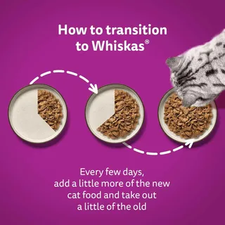 Zakje Gelei Gevogelte Eend Kalkoen Kip Natvoer Voor Katten 12x85 G by Whiskas – product photo 5 of 5