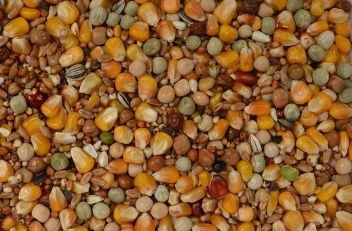 Allround Mix 25KG de Wielink – photo produit