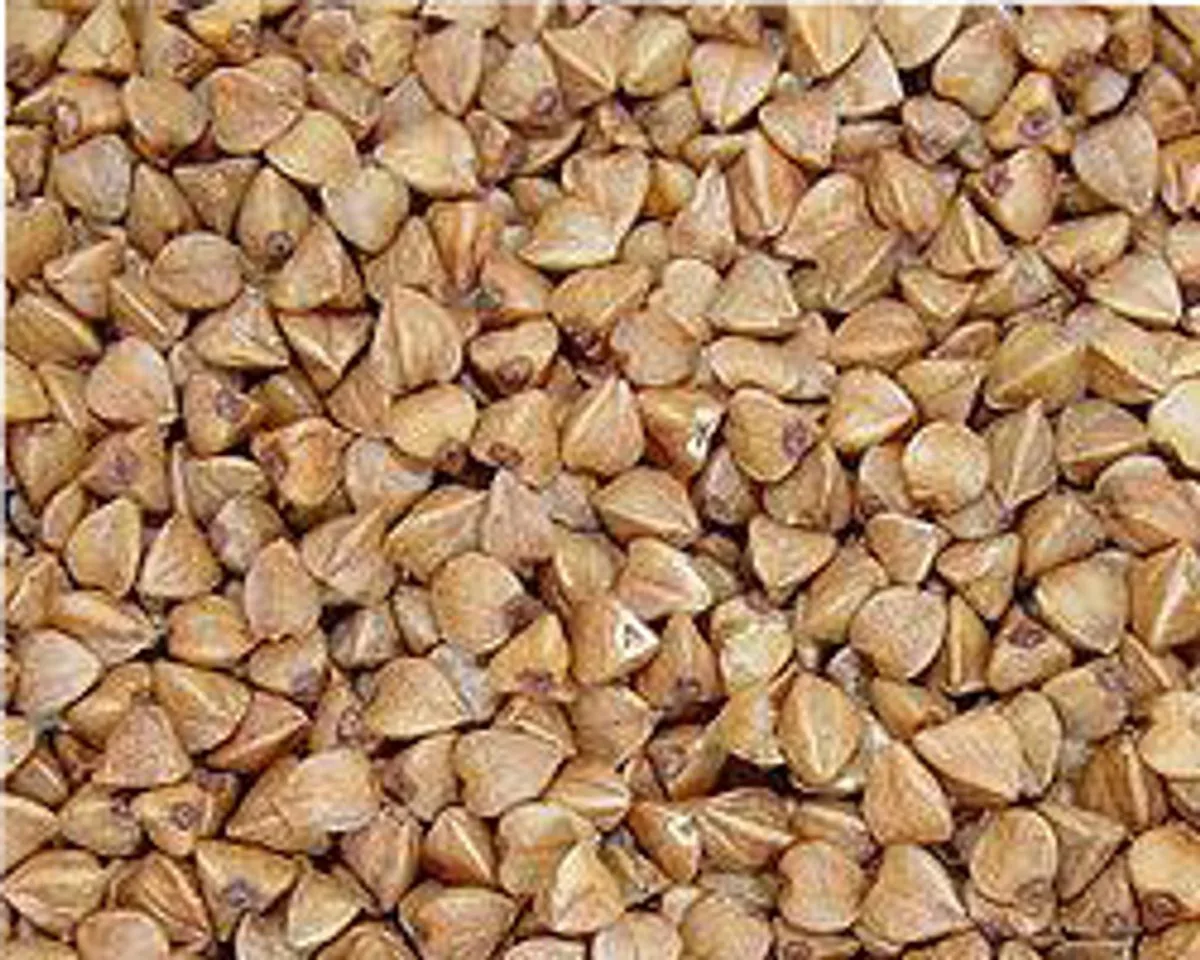 Boekweit 20KG by Wielink – product photo