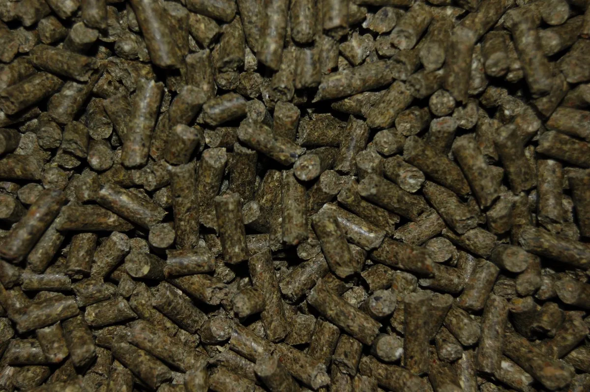 Cavia Supervit korrel 20KG de Wielink – photo produit