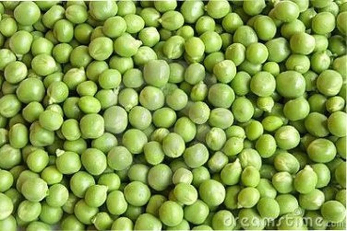 Groene erwten 25KG van Wielink – productfoto