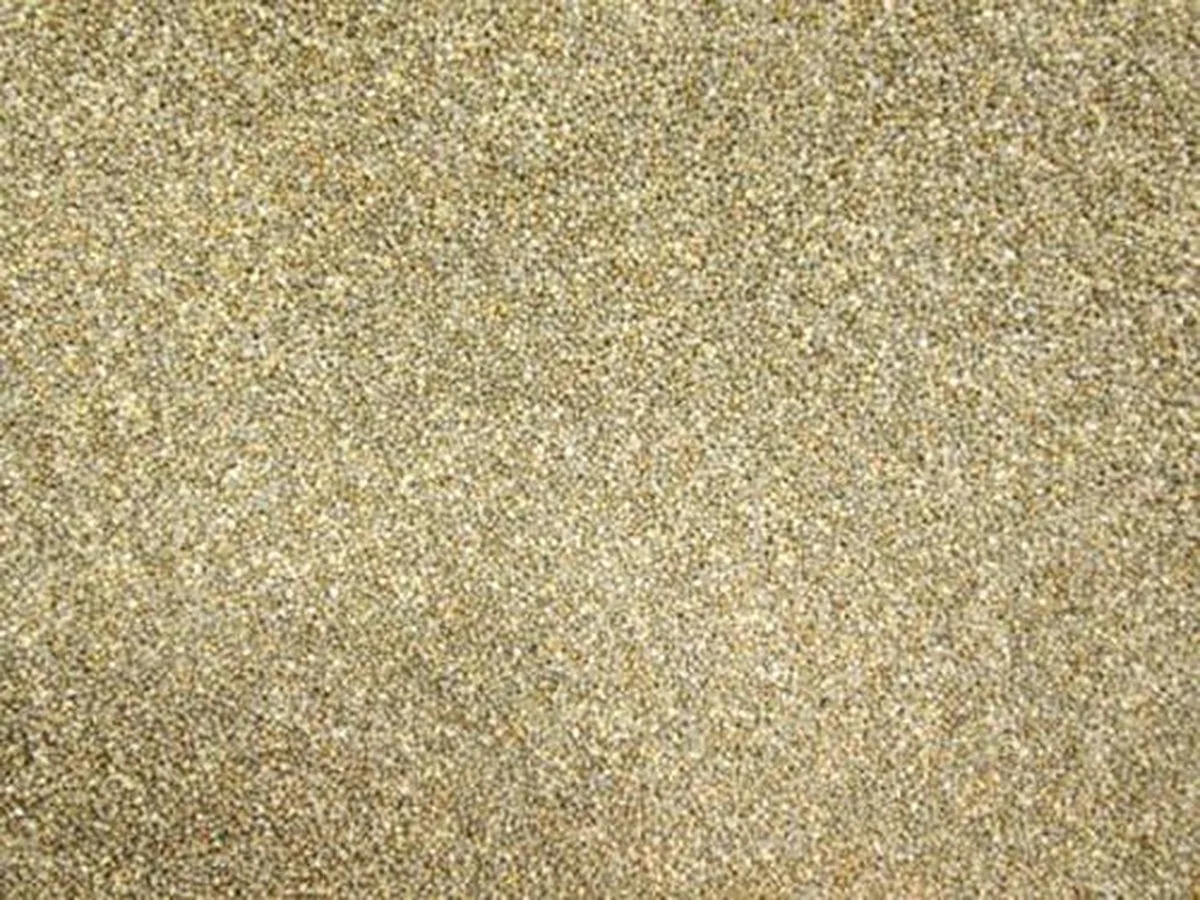 Japanse millet 25 kg by Wielink – product photo