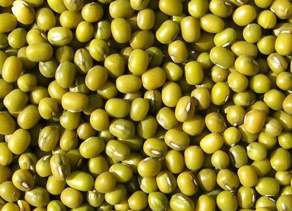 Katjang Idjoe 25KG van Wielink – productfoto