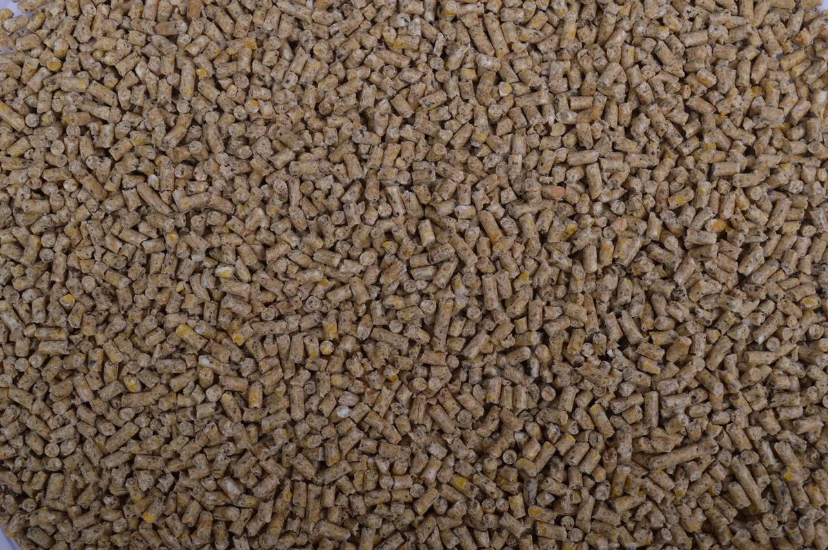 Kuikenkorrel 2MM 20KG de Wielink – photo produit