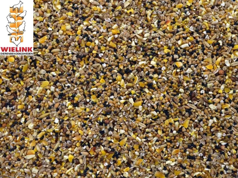 Mussenzaad - wintervoer - strooivoer voor buitenvogels - 5 kg. von Wielink – Produktfoto