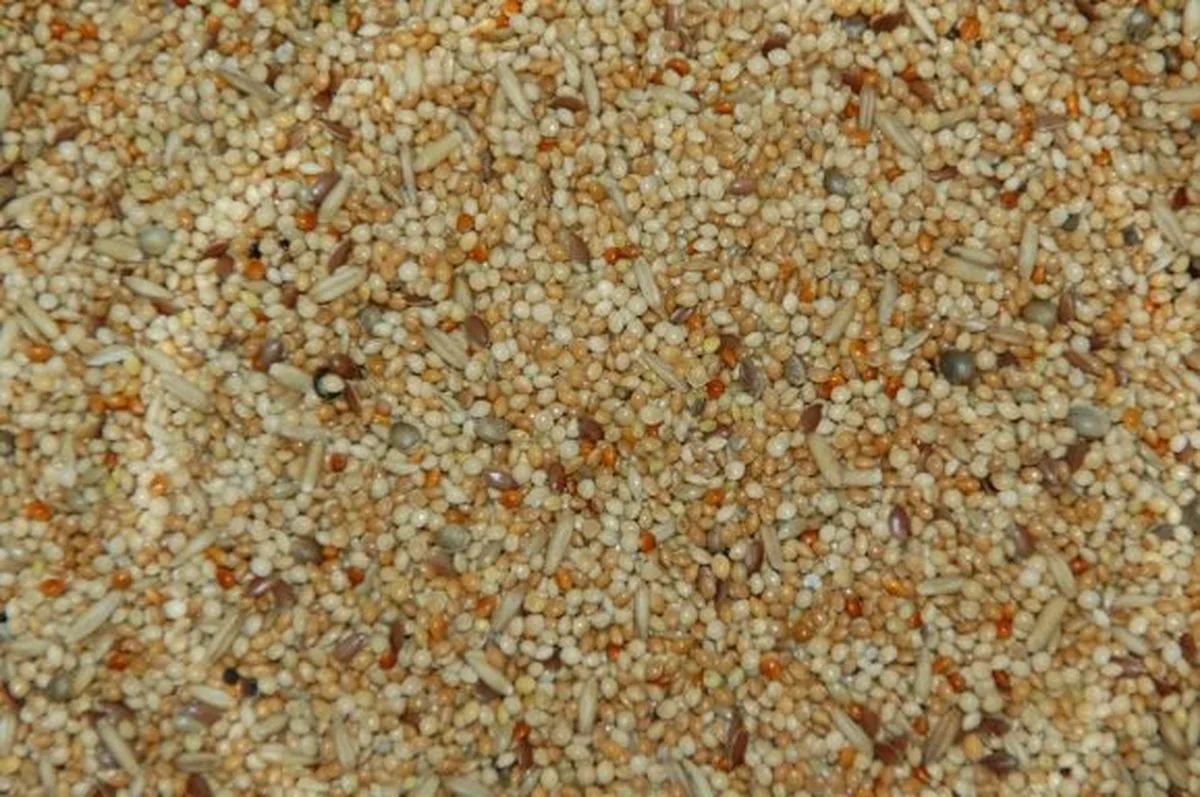 Parkietenzaad Zonder Cardy 20KG de Wielink – photo produit
