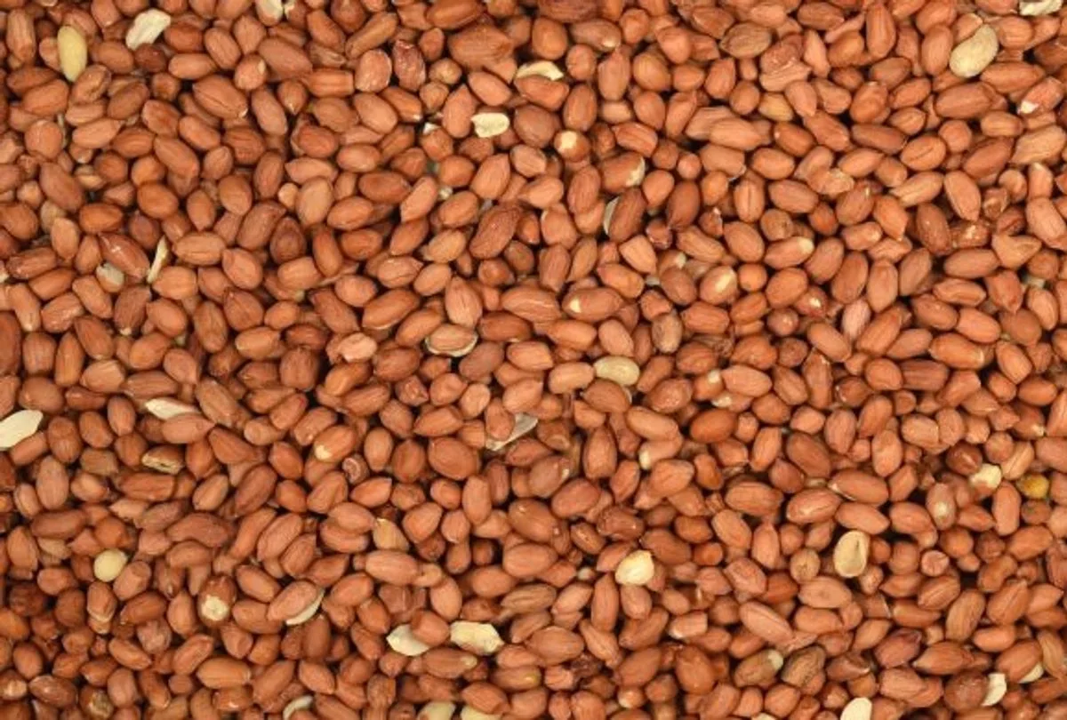 Pinda’s gepeld 25KG de Wielink – photo produit