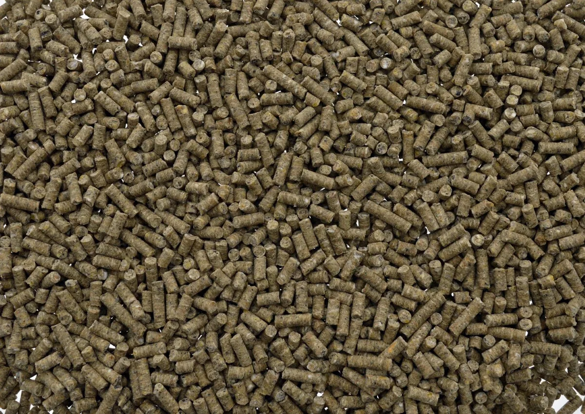 Pluimveekorrel Volledig 20KG de Wielink – photo produit