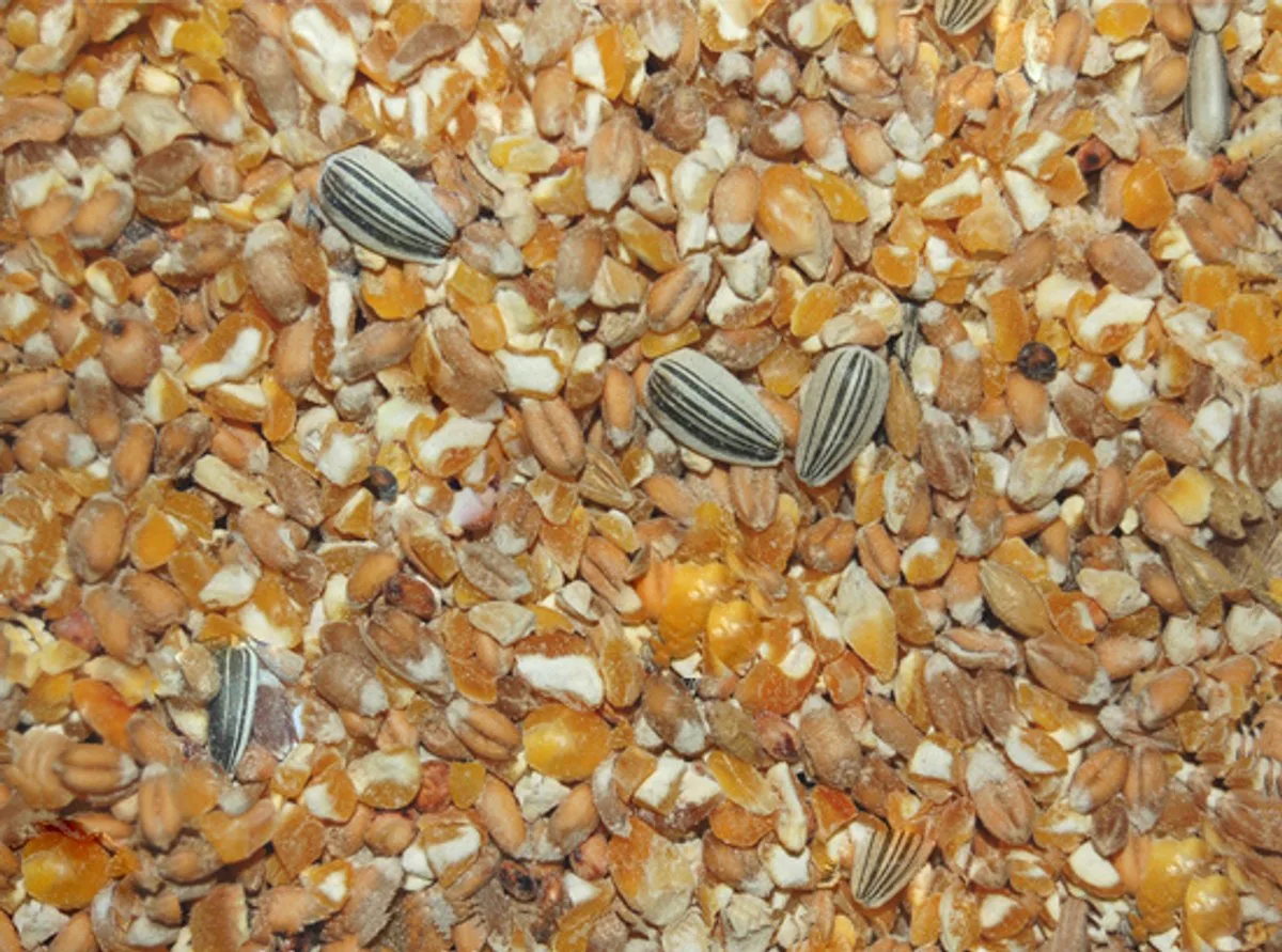 Scharrelgraan 20KG de Wielink – photo produit