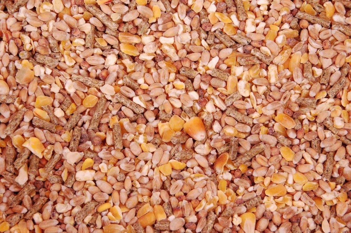 Scharrelmix 20KG von Wielink – Produktfoto