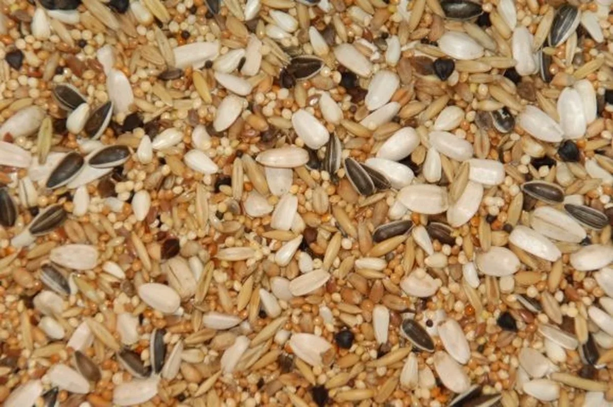 Special voer voor grote Parkieten 20KG fra Wielink – produktbillede