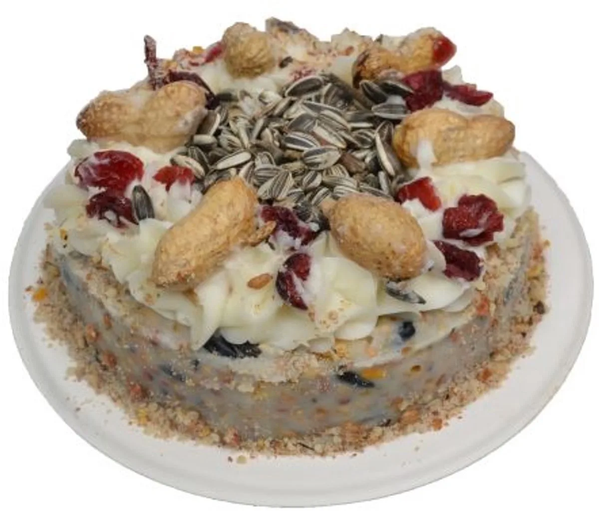 Vogel slagroomtaart met cranberry by Wielink – product photo