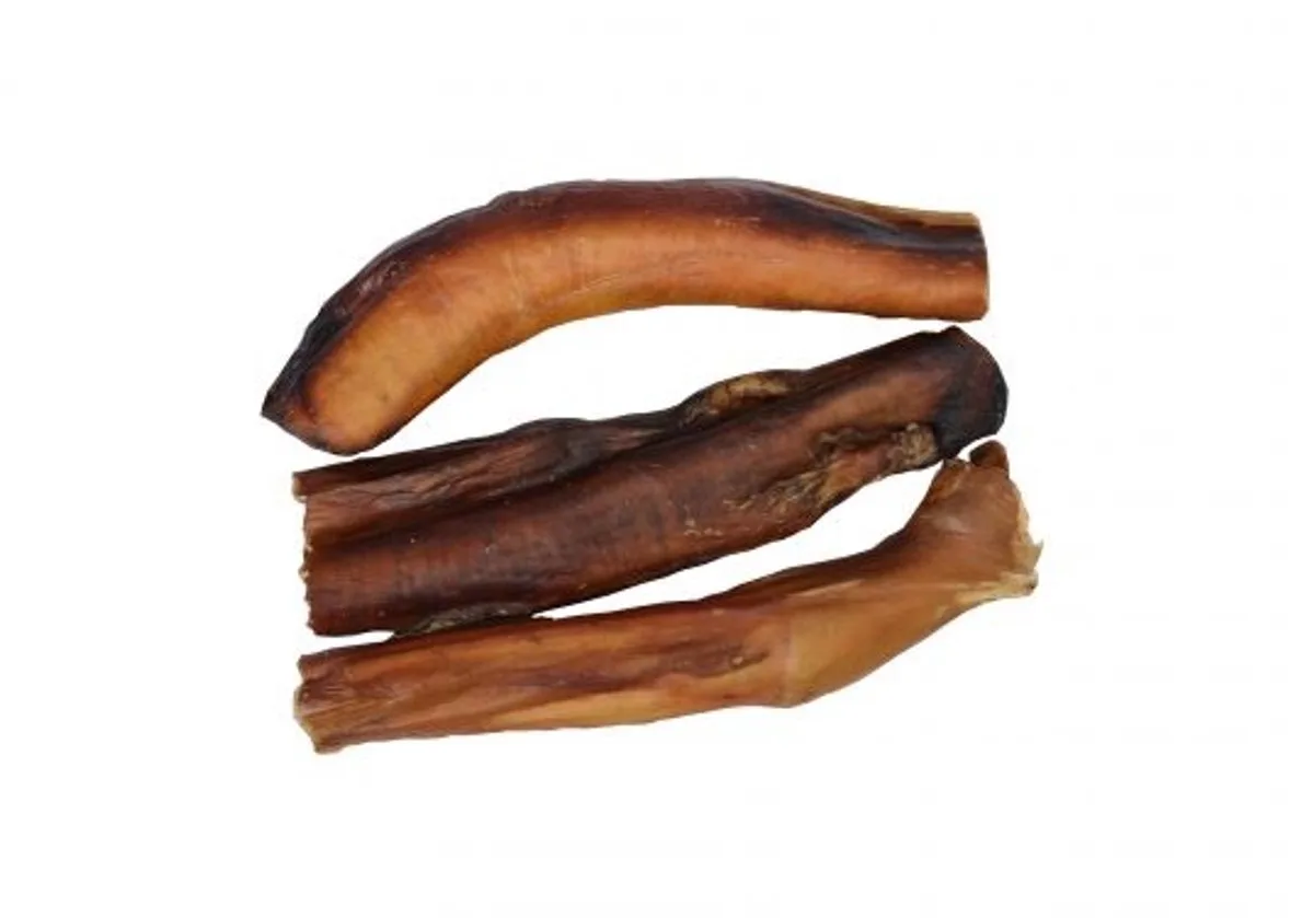 Wielink 50x Bullepees 15cm de Wielink – photo produit