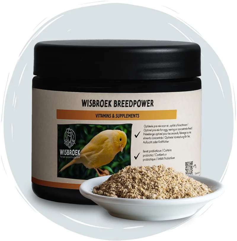 breedpower von Wisbroek – Produktfoto