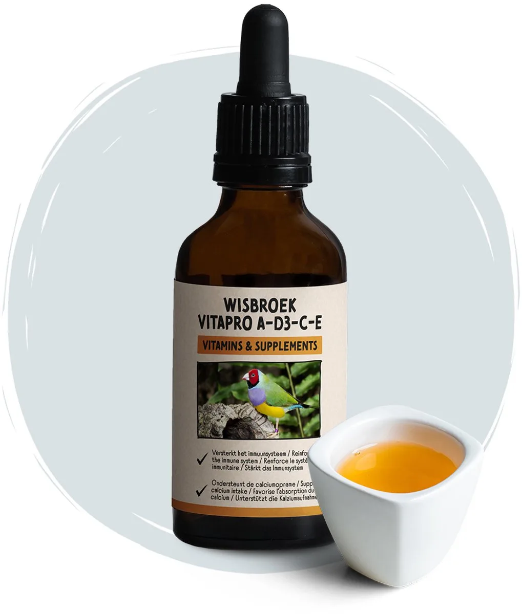 VitaPro A-D3-E-C (50 ml) von Wisbroek – Produktfoto