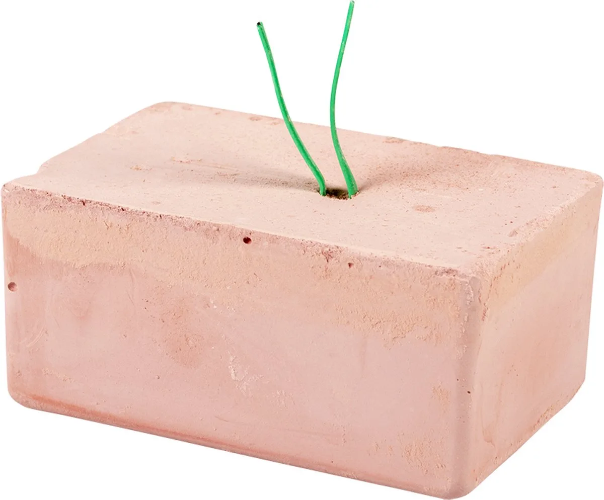 Energyblok - Voor Vogels - 1 St - 7,2x4,7x4,7cm de Witte Molen – photo produit