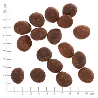 Nourriture Pour Chiens Polar Night Au Renne Et Aux Patates Douces 12.5kg de Wolfsblut – photo produit 2 sur 2